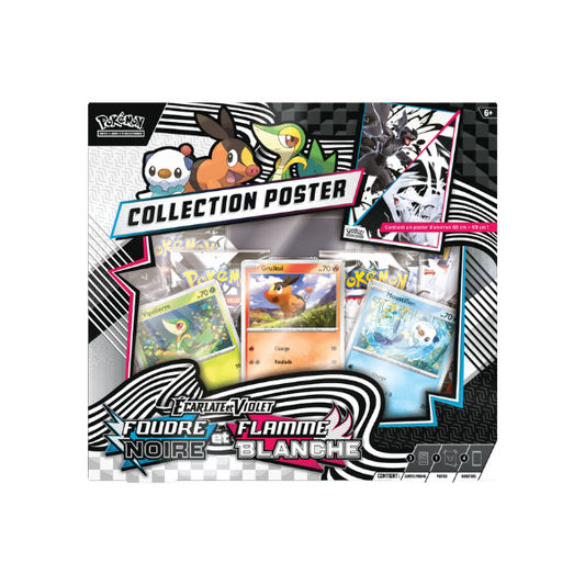 Coffret Collection Poster - EV10.5